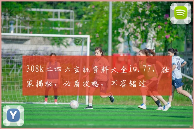 308k二四六玄机资料大全iw.77，独家揭秘，必看攻略，不容错过