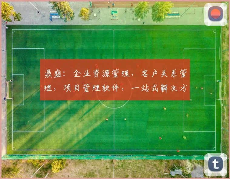 鼎盛：企业资源管理，客户关系管理，项目管理软件，一站式解决方案三合一
