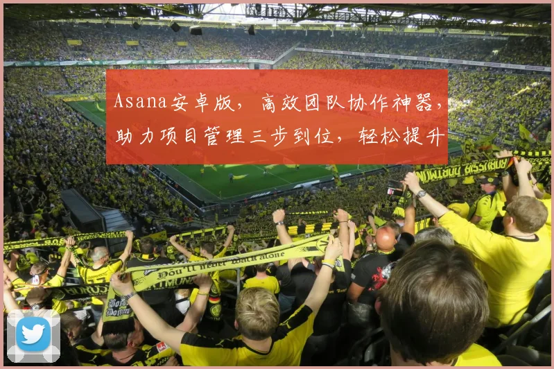 Asana安卓版，高效团队协作神器，助力项目管理三步到位，轻松提升工作效率，一站式解决方案。
