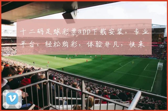 十二码足球彩票app下载安装，专业平台，轻松购彩，体验非凡，快来下载体验