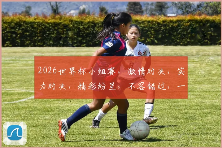 2026世界杯小组赛，激情对决，实力对决，精彩纷呈，不容错过，一触即发