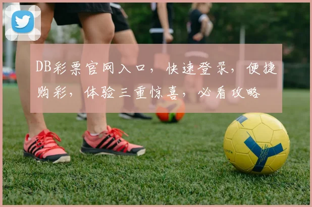 DB彩票官网入口，快速登录，便捷购彩，体验三重惊喜，必看攻略