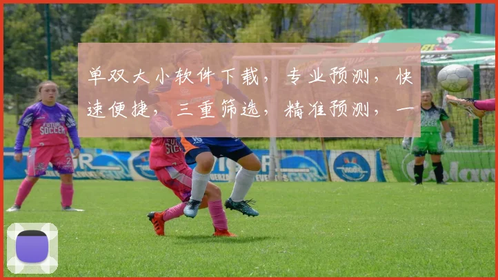 单双大小软件下载，专业预测，快速便捷，三重筛选，精准预测，一触即达